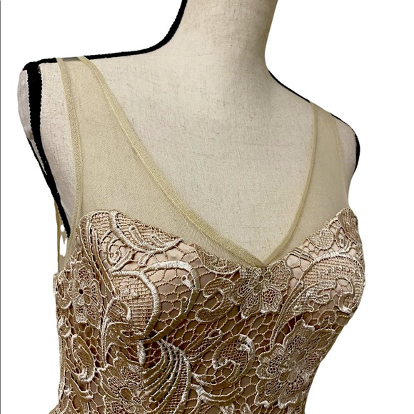 ADRIANNA PAPELL Lace Illusion Midi Size 4 - Picture 6 of 15